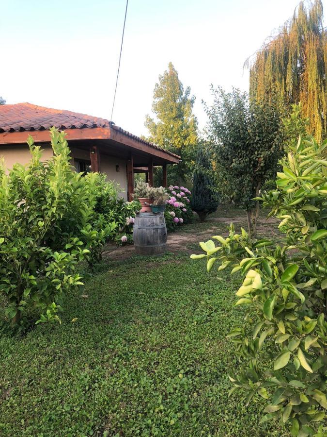 Alojamiento Los Nogales Santa Cruz Εξωτερικό φωτογραφία